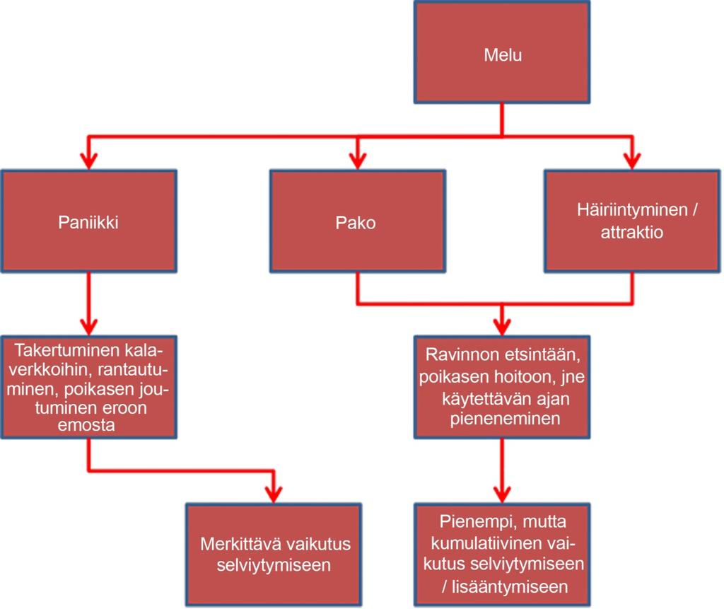 Kuva 7-5 Kaaviokuva niistä mekanismeista, joiden vuoksi melun aiheuttamat käyttäytymisen muutokset voivat saada aikaan merinisäkkäiden selviytymiseen ja lisääntymiseen lyhyt- tai pitkäaikaisesti