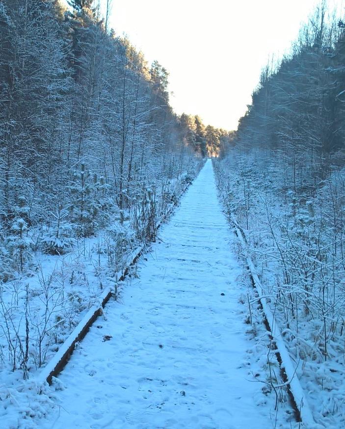 Nykytila Alkupää pohjoisessa Eurassa Kiukaisten liikennepaikalla Loppupää etelässä Säkylän Iso-Vimman tehdasalueella Kauttuan liikennepaikka sijaitsee rataosien välissä Rataosien yhteispituus noin