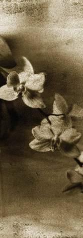 .. märkaa päivät & bokaa liput ettei tule dålig humör   .. märkaa päivät & bokaa liput ettei tule dålig humör   .. märkaa päivät & bokaa liput ettei tule dålig humör   .. märkaa päivät & bokaa liput ettei tule dålig humör   .. märkaa päivät & bokaa liput ettei tule dålig humör   .. 11 märkaa päivät & bokaa liput ettei tule dålig humör