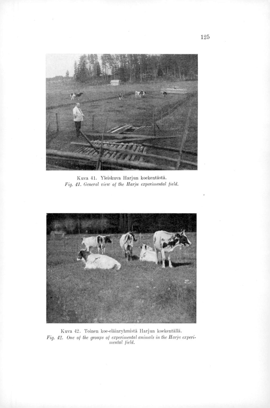 125 Kuva 41. Yleiskuva Harjun koekentästä. Fig. 41. General view of the Harju experimental field. Kuva 42.