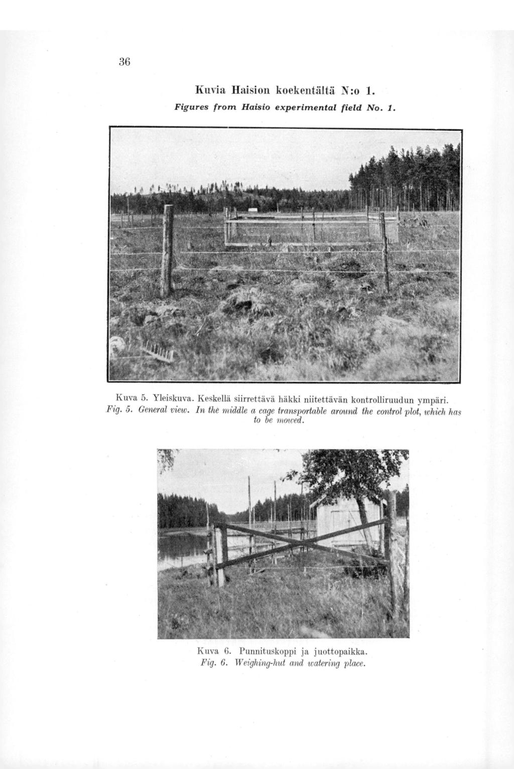 36 Kuvia Raision koekentältä N:o 1. Figures from Haisio experimental field No. I. Kuva 5. Yleiskuva. Keskellä siirrettävä häkki Mitettävän kontrolliruudun ympäri. Fig. 5. General view.