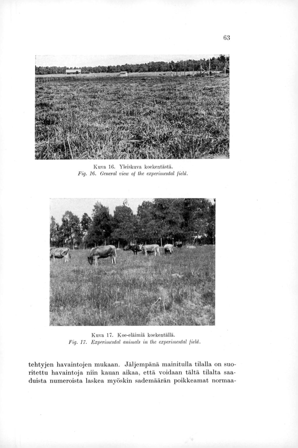 63 Kuva 16. Yleiskuva koekentästä. Fig. 16. General view of the experimental field. Kuva 17. Koe-eläimiä koekentällä. Fig. 17. Experimental animals in the experimental field.