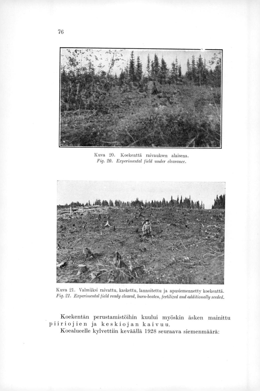 76 Kuva 20. Koekenttä raivauksen alaisena. Fig. 20. Experitnental field under clearance. Kuva 21. Valmiiksi raivattu, kaskettu, lannoitettu ja apusiememietty koekenttä. Fig. 21. Experimental field ready cleared, burn-beaten, fertilized and additionally seeded.
