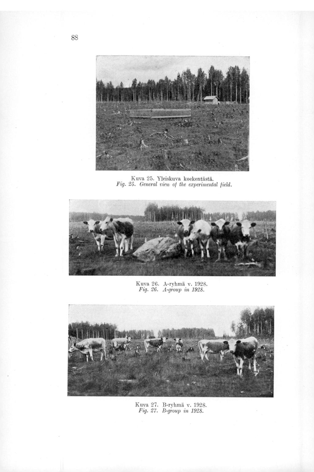 88 Kuva 25. Yleiskuva koekentästä. Fig. 25. General Vietb of the experimental Kuva 26.