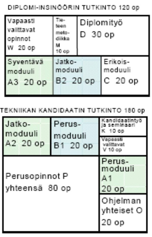 Perustieteiden laaja oppimäärä sijoittuu kandidaattitutkinnossa moduuleihin P ja B1. B1-moduuli voidaan suorittaa valinnaisesti joko matematiikka-, fysiikka- tai tietotekniikkapainotteisena.