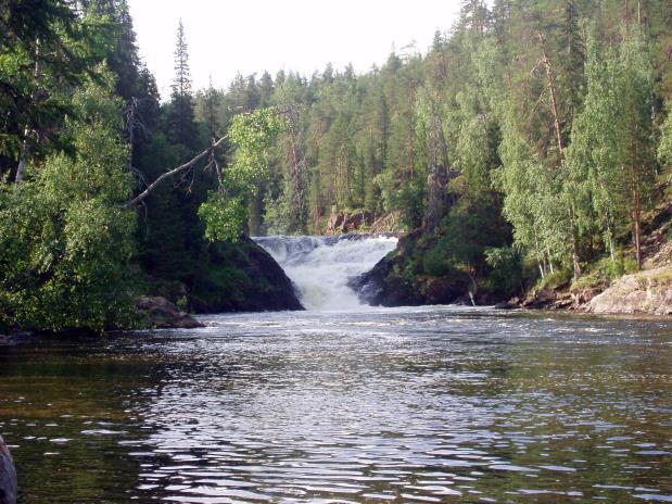 15 Harrisuvanto Siilastupa (Jyrävä) Harrisuvannon jälkeen Karhunkierros nousee harjulle ja seuraa Kitkajokea, jonka pauhu kuuluu alhaalta uomasta.