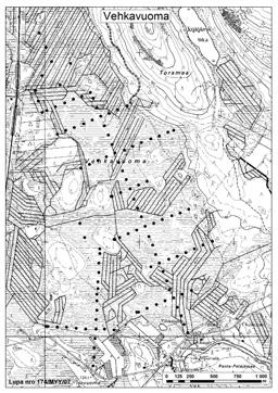 Tapio Muurinen ja Ilkka Aro 13. Vehkavuoma 13.Vehkavuoma (kl. 2624 11, x = 7441,3, y = 2496,0) sijaitsee noin 30 km Kolarin kuntakeskuksesta etelään.