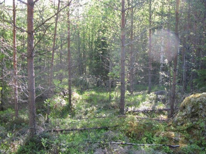 Finland Phone +358 (0)40 348 5511. Fax +358 (0)9 3487 0810. www.afconsult.com.