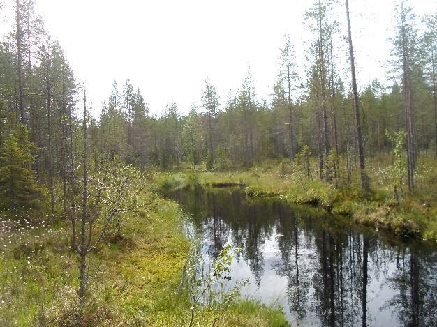 Soistuminen ja sen seurauksena ojitukset ovat yleisiä. Kuvat 2ab. Vasemmalla Ukonmäen ja Kurkisenniemen välinen uoma. Oikealla Myllylahden lasku-uomaan rakennettu pohjapato.