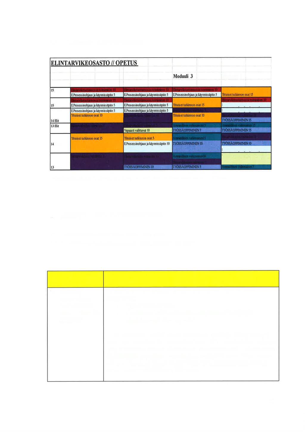 1.4 Tutkinnon muodostuminen Moduuli 1 Modur li 2 Moduuli 4, ÐitA ÐitB E Pmsessinohius i k ynnbsäoilo 5 EPmsessinohius i k vnnbsåoito 5 '1 : :.