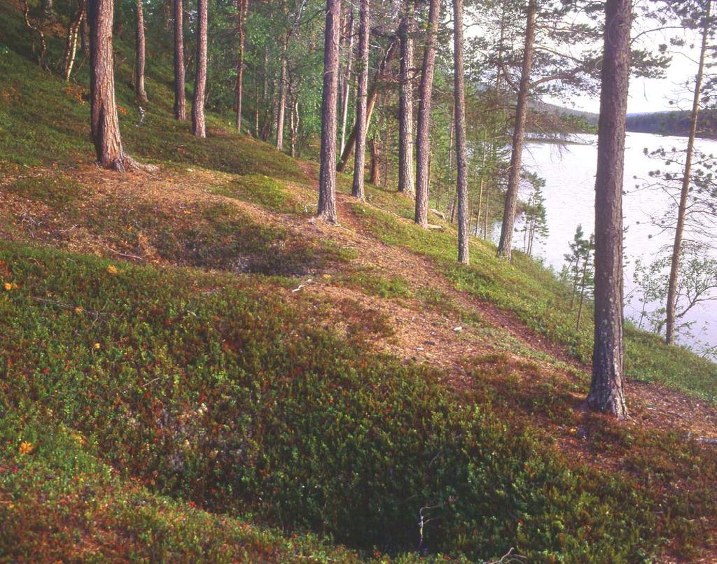 Lemmenjoen kansallispuiston hoito- ja käyttösuunnitelma