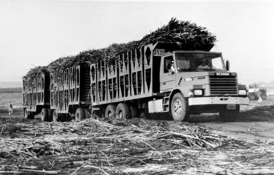 4 (6) Sen seuraaja oli vuonna 1958 esitelty ikoninen L75-malli.