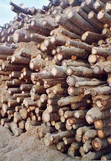 Kylmävarastoinnin vaikutus puutavaraan Kylmävarastoinnissa puu säilyy