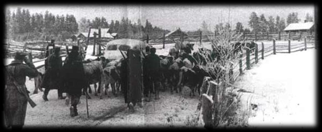Torpparivapautus ja asutustoiminta Torpparilaki (1918) antoi oikeuden lunastaa vuokra-alueet Yli 90.
