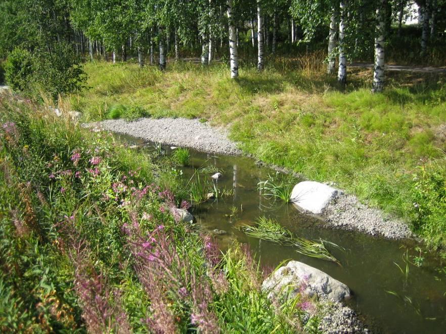 vaihtelevuus Taimenen poikastuotannolle erinomaisia mahdollisuuksia kunnostetuissa puroissa