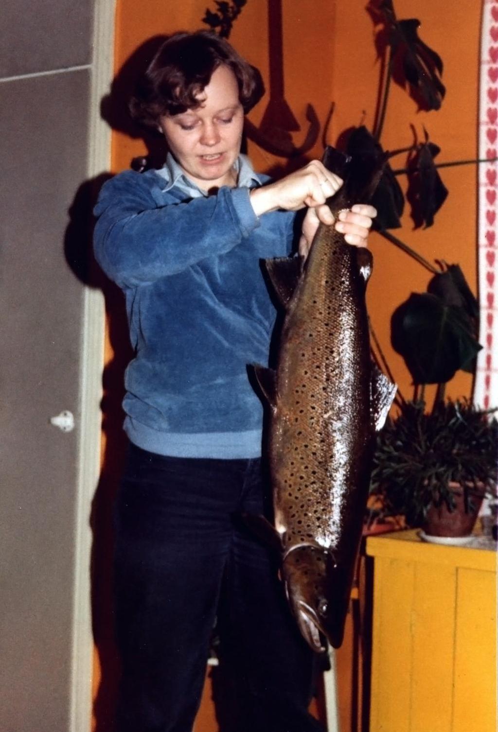 Tavoite Meritaimen 6,3 kg Lohioja, Perniönjoen