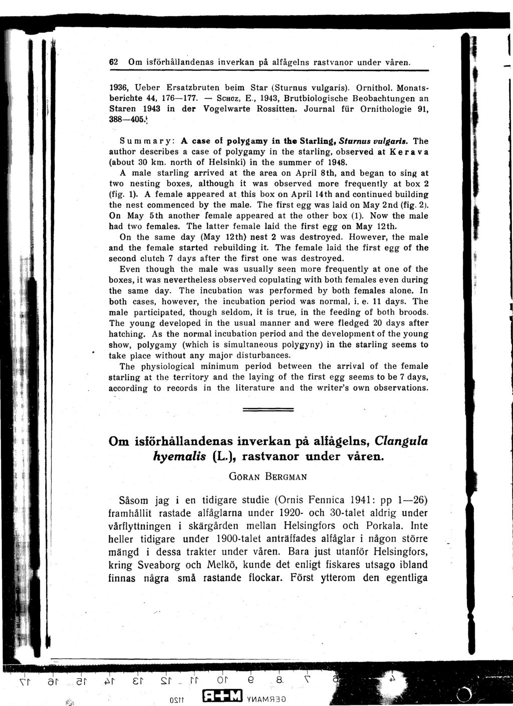 62 Om isförhållandenas inverkan på alfågelns rastvanor under våren. 1936, Ueber Ersatzbruten beim Star (Sturnus vulgaris). Ornithol. Monatsberichte 44, 176-177. - SCHOZ, E.
