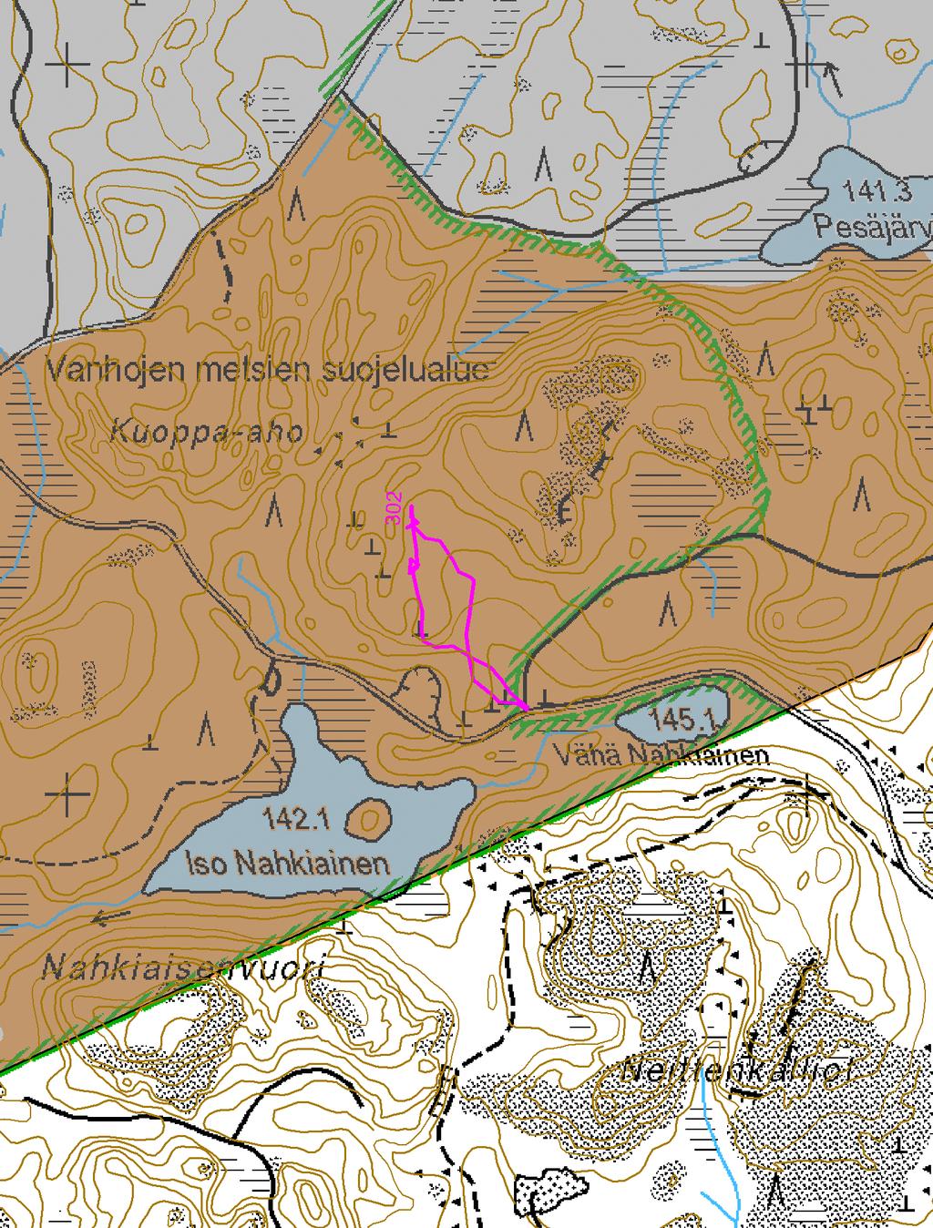 Kuoppa-ahon vanhat metsät 1:7000 Metsähallitus 18.10.