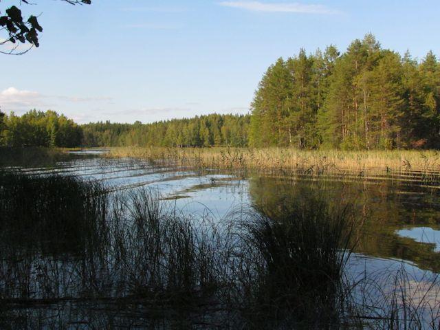 Alueella ei todettu rauhoitettuja tai uhanalaisia kasvilajeja tai uhanalaisille lajeille (direktiivin IV(a) lajit) soveltuvia elinympäristöjä, muita luontoarvoja tai sellaisia luontotekijöitä, jotka