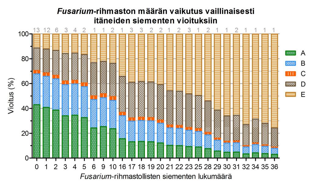 42 lajikkeiden ja tartutuskäsittelyn suhteen. Pylväiden yläpuolella olevat luvut kuvaavat havaintomääriä. Kuva 17.