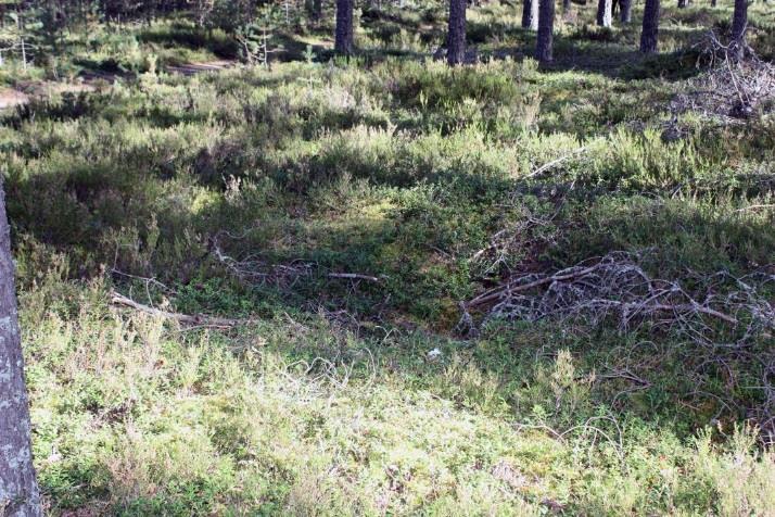 Pohjoisen ryhmän 50 kuopat (nro 1-51) levittäytyvät noin 400 x 80 m laajalle alueelle ja ovat pääosin melko pieniä pyöreitä kuoppia, joiden halkaisija on 1,5-2,5 m.