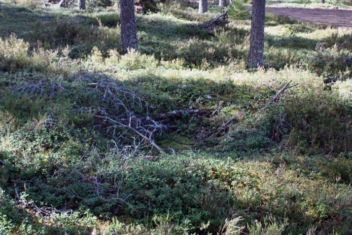 Selvä poikkeus on kuoppa nro 24, joka on noin 2 x 2 m laaja ja muodoltaan lähes neliskulmainen. Kuopan syvyys on noin 1,2 m ja sen ympärillä on noin 50 cm korkea ja 1,0-1,5 m leveä valli.