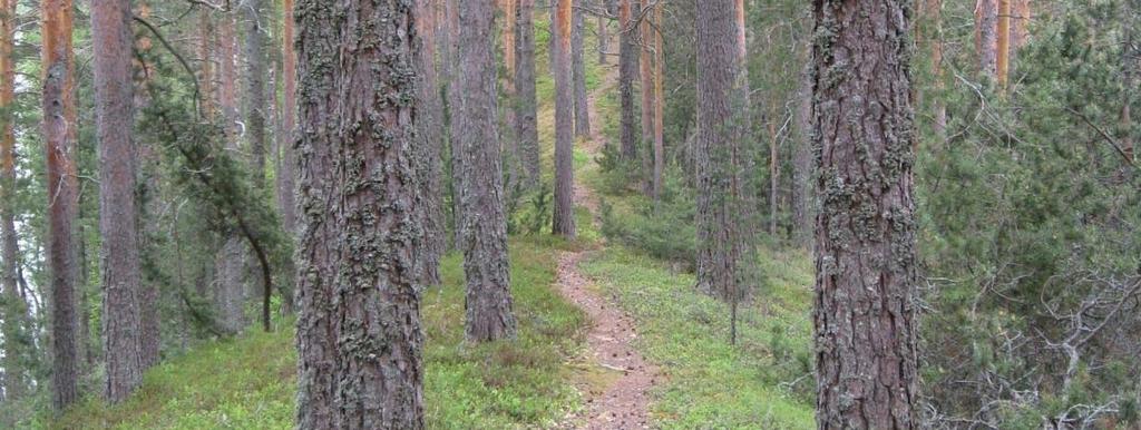 2.7.3 Arvokkaat geologiset muodostumat Voimassa oleva maakuntakaava Maakuntakaavassa on osoitettu valtakunnallisesti ja maakunnallisesti arvokkaat harjualueet arvokas geologinen muodostuma (ge)