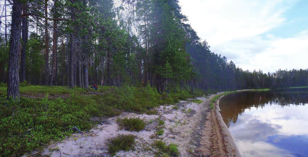 Tulkinta Paikalla voi olla jäänteitä pyyn asuinpaikasta. Sen ajoi aminen on inventoinnin perusteella mahdotonta. Tulenpidon jäänteet voivat olla monen vuosituhannen ajalta.