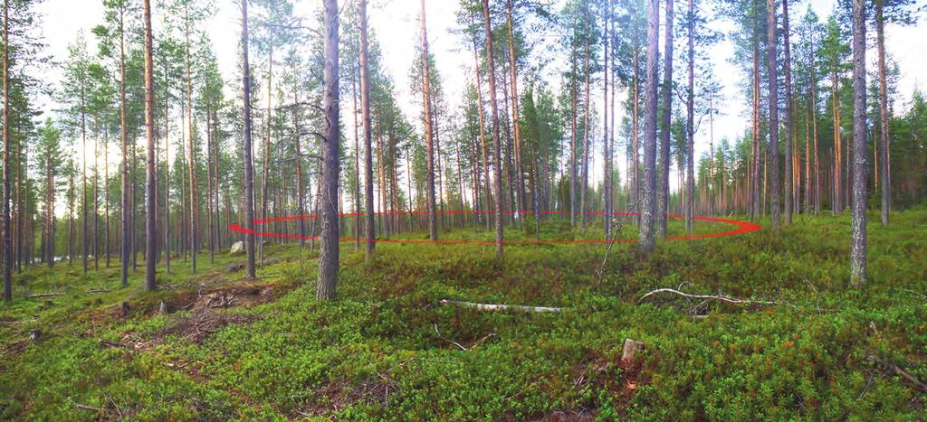 Nurmivaaran eteläisempi tervahauta erottui suhteellisen heikosti maastossa. Se sijaitsee lähellä pienen lammen rantaa, suhteellisen tasaisessa maastossa.