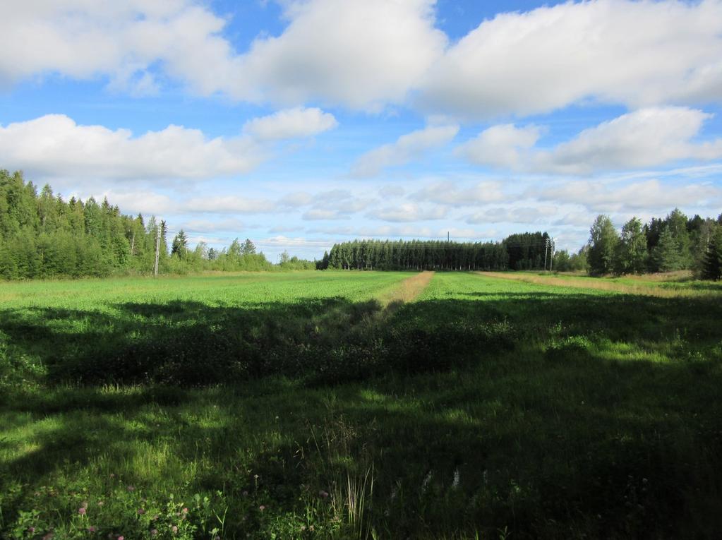 5 3. Maisema topografia ja geologia Alue on metsäistä, lähinnä talousmetsää, pohjoisosa on melkein kokonaan viljeltyä tai metsitettyä peltoa.