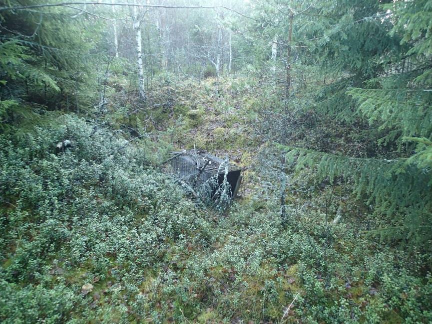 Tien itäpuolella, harjanteen länsikärjessä on iso tervahauta, joka on osin tuhoutunut myöhemmän maanoton takia. Hauta on ollut suuri, arviolta 25 m halk.