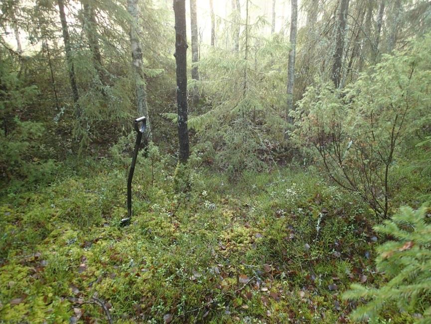 tervahaudan hallssia sen sisältä itään.