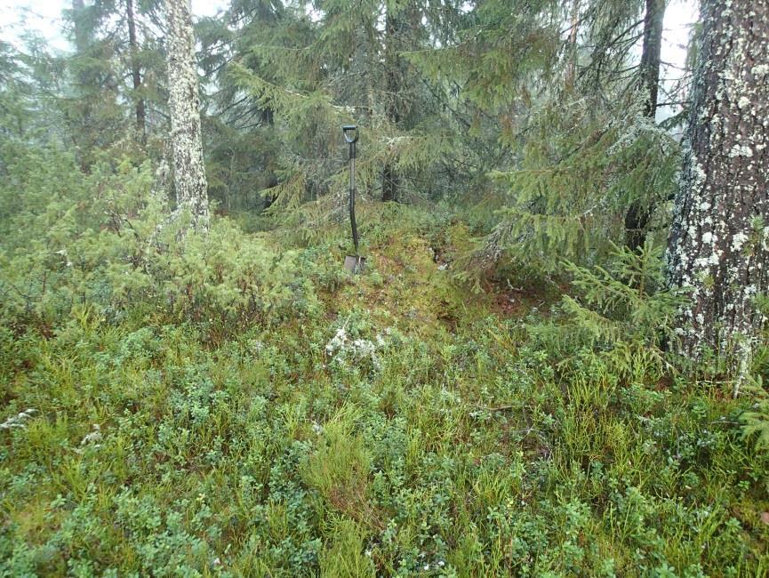 18 Kiukaan jäänne
