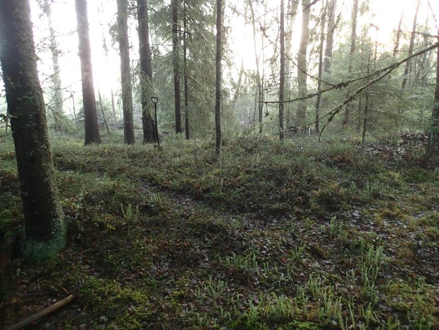 X: 6951 439 Y: 1554 086 P: 6960 714 I: 3246 718 Huomiot: Paikka sijaitsee Jurvan kirkosta 4,5 km kaakkoon.