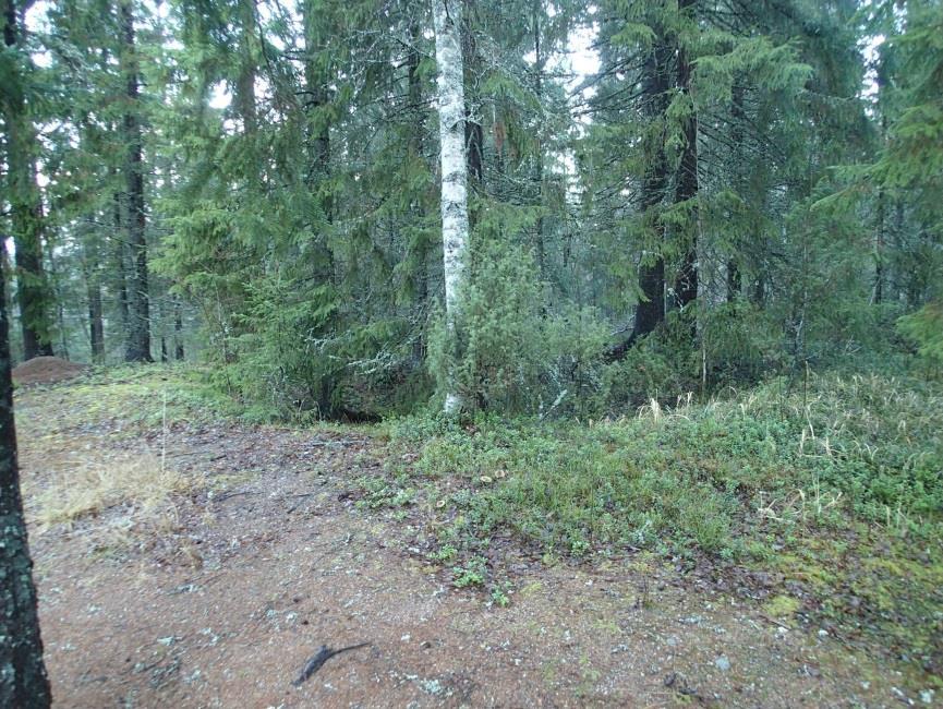 Jussila T 2014 inventointi Paikka sijaitsee Jurvan kirkosta 4,6 km kaakkoon. Tervahauta, halkaisija 12 m.