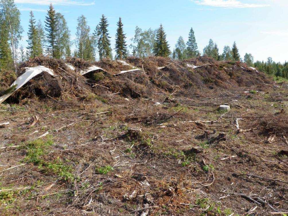 Energiapuun korjuu Energiapuun korjuun seurannassa arvioidaan energiapuun korjuun aiheuttamat vaikutukset ainespuun korjuun jälkeen. Hakkuutähteiden ja kantojen korjuu arvioidaan omina työlajeinaan.