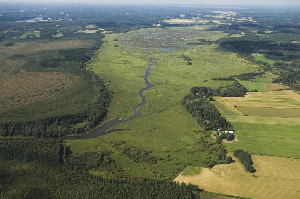 Puurijärvi