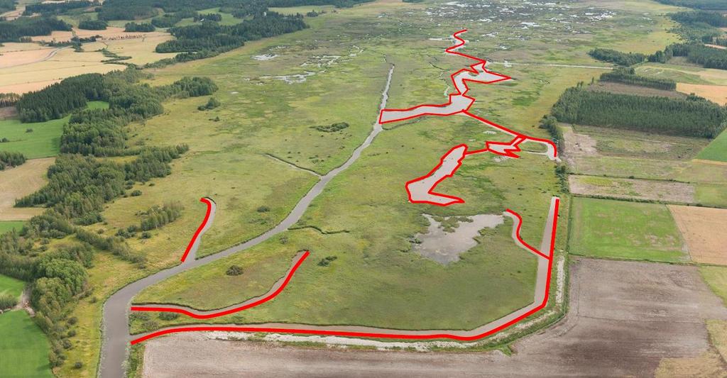 Puurijärvi North, diggings indicated with red July 2011