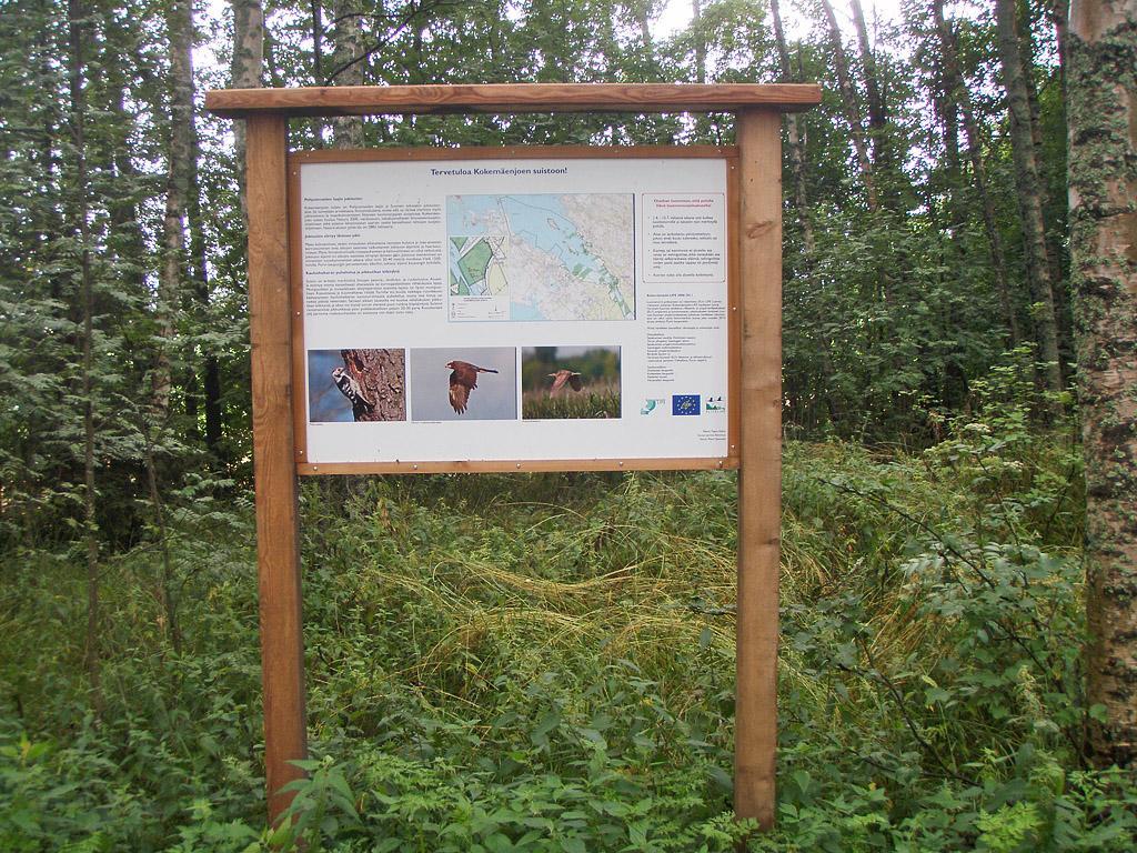 Nature path board,