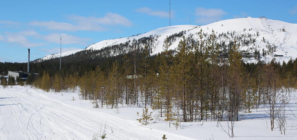 Kultakeronkadun asemakaavan muutos, Pelkosenniemi Kuvapari 8.1 & 8.2.