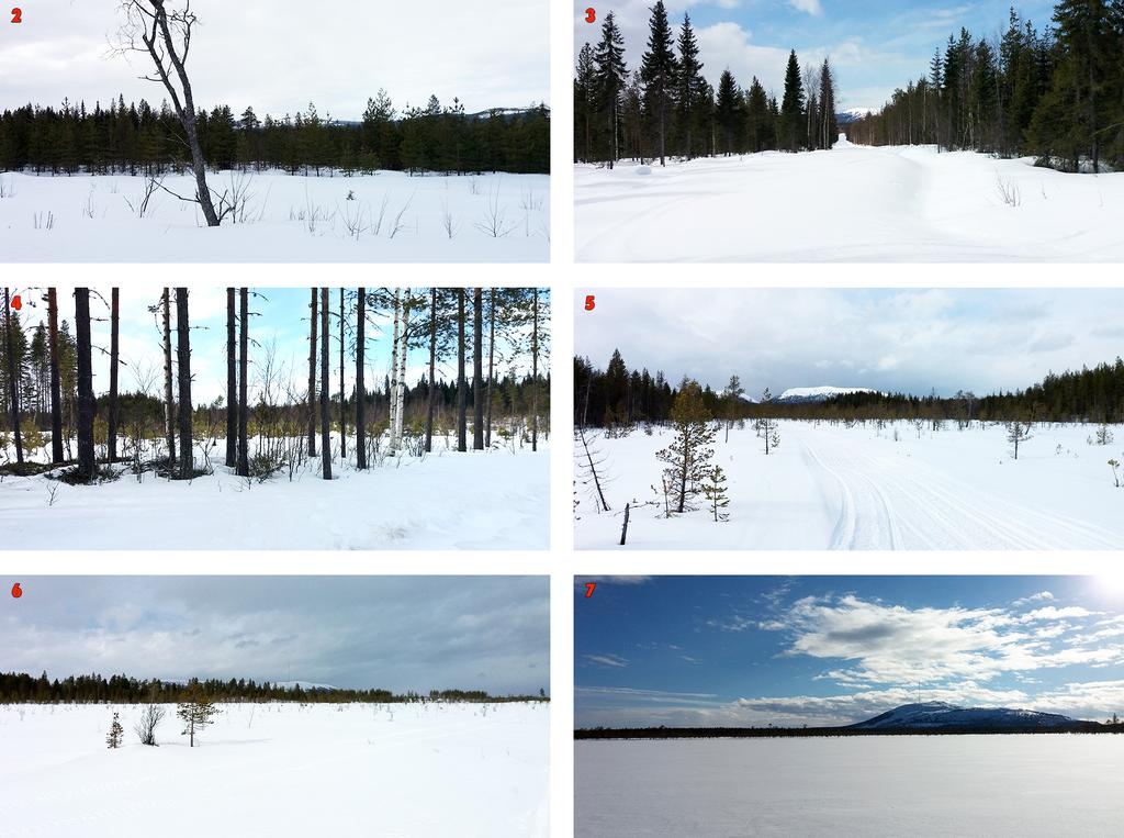 Maisemakuvat 2-7. 5.4.