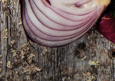 apetitammattilaiset.