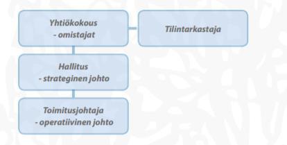 30 hallitukselle tiedot mitkä ovat tarpeellisia hallituksen tehtävien hoitamiseksi.