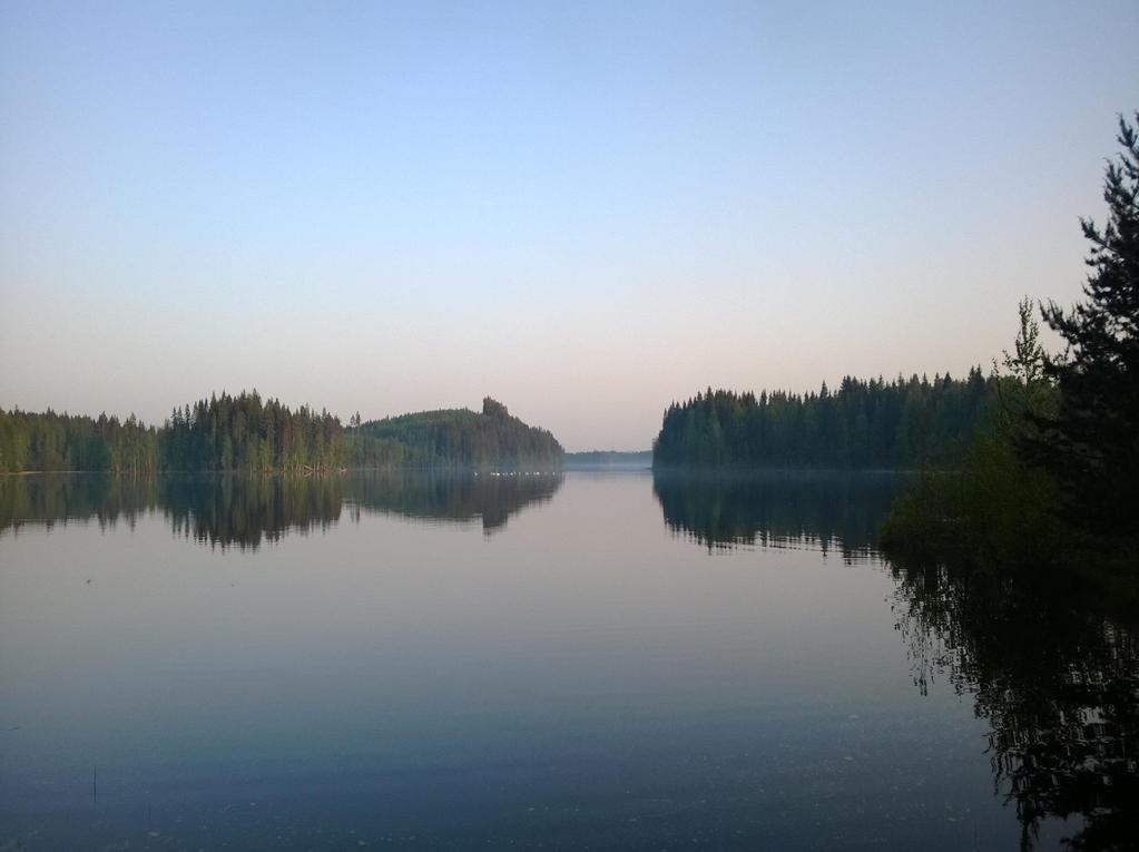 Elämä on ihmisen parasta aikaa Pallveluseteli kokemukset ja