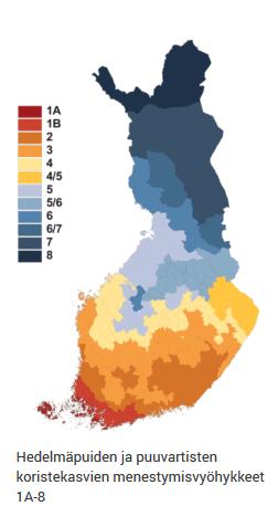 Kasvuvyöhykkeet Lähde: