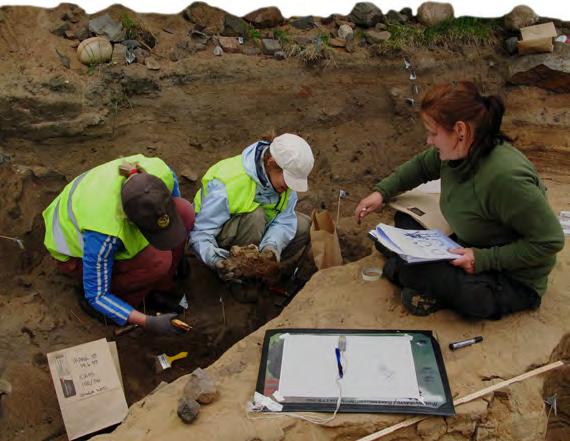 ARKEOLOGISET JA HISTORIALLISET TUTKIMUKSET Pelastuskaivauksissa ja sen jälkeen toteutetussa arkeologisessa seurannassa alueella havaittiin ja eriasteisesti dokumentoitiin vähintään 290 vainajan