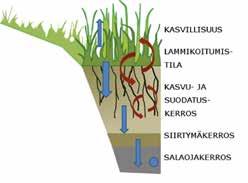 28 Biosuodatusrakenteet koostuvat lammikoitumistilasta, kasvukerroksesta, siirtymäkerroksesta, salaojakerroksesta ja tarvittavilta osin