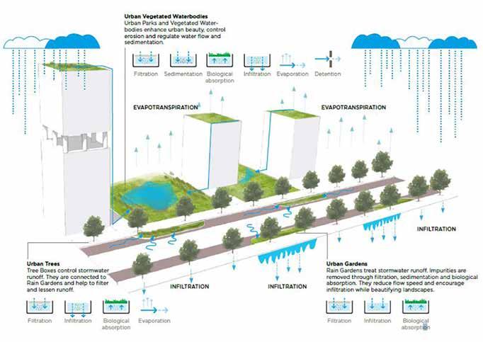 7 1.5. Sinivihreän infrastruktuurin hyödyt Ilmastonmuutos ja kaupunkien tiivistyminen haastavat kaupunkien kyvyn sopeutua muutoksiin.