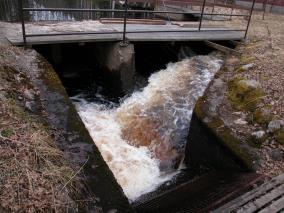 Ohjaimina kokeiltiin pohjaan painottettua kirkasta valoletkua ja siitä pintaan kiristettyyn vaijeriin 20 cm välein viritettyjä nailonlankoja ns. värähtelijöitä.