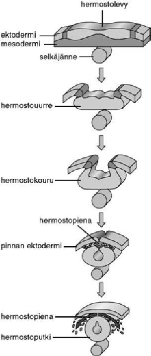 kertausta